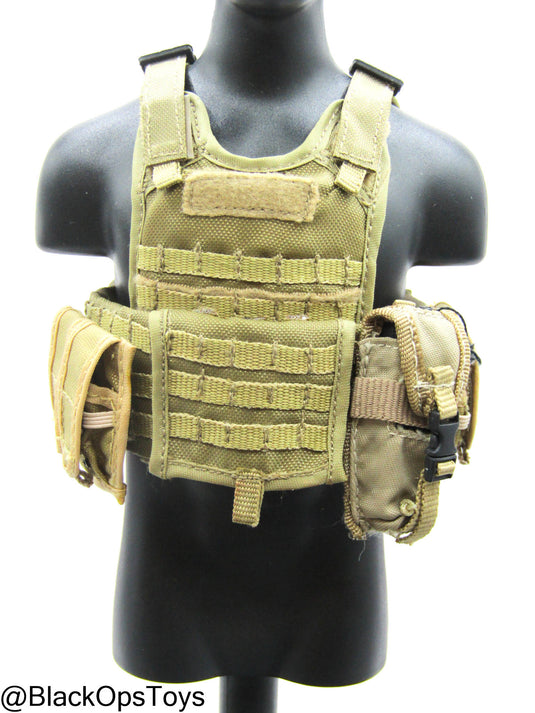 FDE Tan MOLLE Plate Carrier w/Pouch Set
