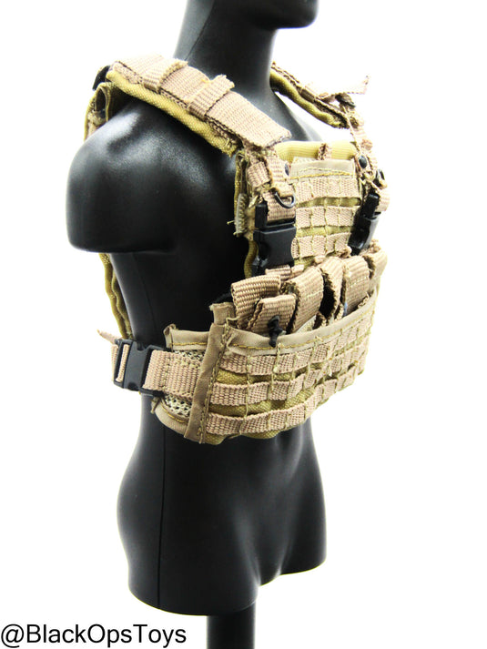 FDE Tan MOLLE Plate Carrier