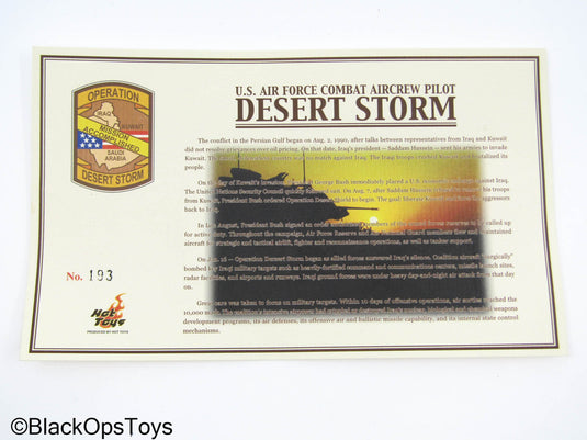Operation Desert Storm US Air Force Combat Aircrew Pilot - MIOB (READ DESC)