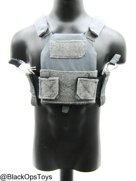 PMC - Weapon Specialist S - Wolf Grey Plate Carrier w/Trident Logo