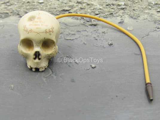 Fantastic Beasts - Gellert - Skull Hookah
