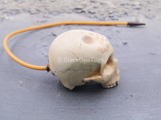Fantastic Beasts - Gellert - Skull Hookah