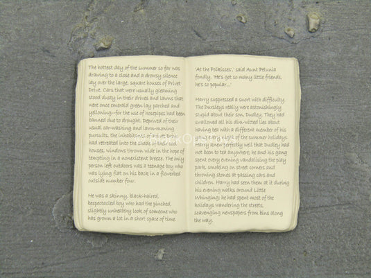 Prof. Minerva McGonagall - Book