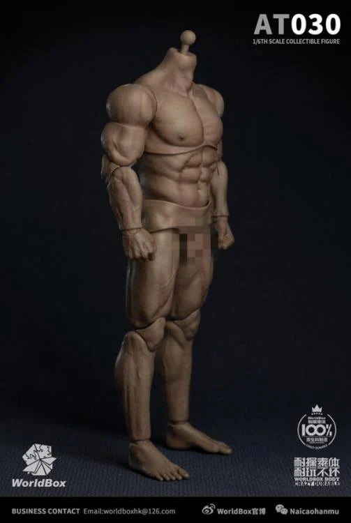 Male Base Muscle Body - MINT IN BOX