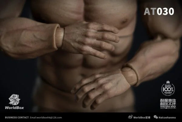 Load image into Gallery viewer, Male Base Muscle Body - MINT IN BOX
