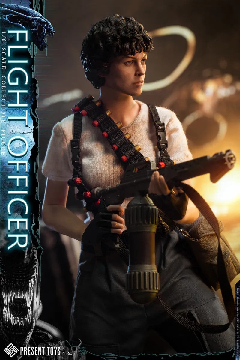 Load image into Gallery viewer, Female Flight Officer - MINT IN BOX
