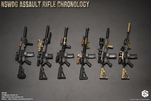 NSWDG Assault Rifle Chronology COMBO - MINT IN BOX