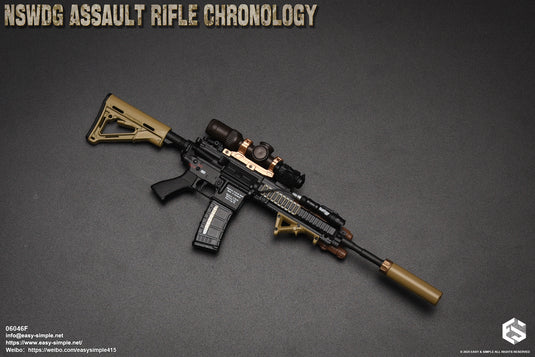 NSWDG Assault Rifle Chronology Ver. F - MINT IN BOX