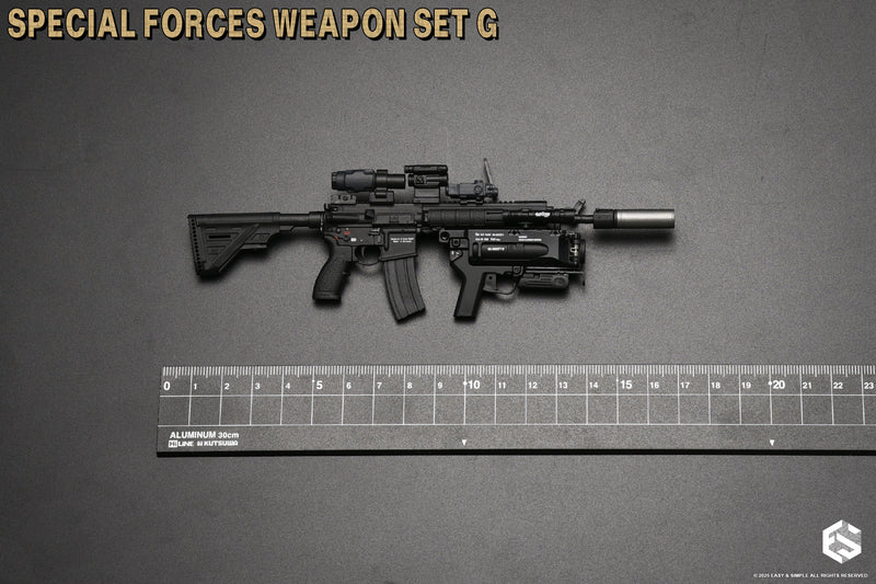 Load image into Gallery viewer, Special Forces Weapon Set G Ver. D - MINT IN BOX - 06047D

