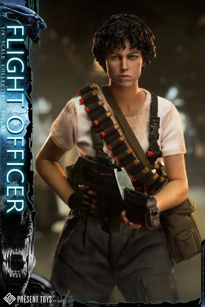 Load image into Gallery viewer, Female Flight Officer - MINT IN BOX
