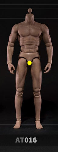 Male Base Muscle Body - MINT IN BOX