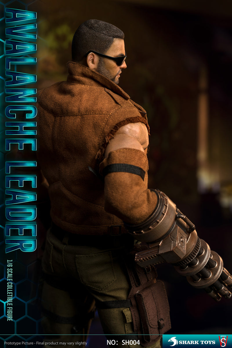 Load image into Gallery viewer, Avalanche Leader - MINT IN BOX
