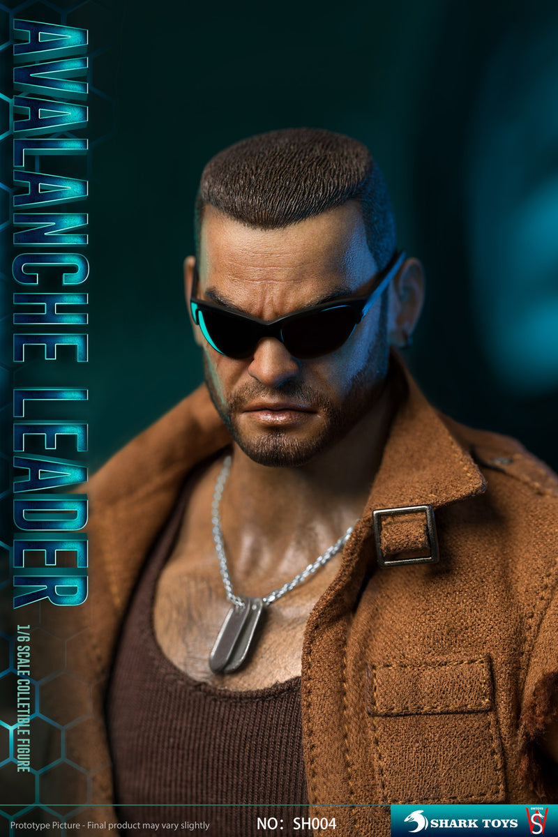 Load image into Gallery viewer, Avalanche Leader - MINT IN BOX

