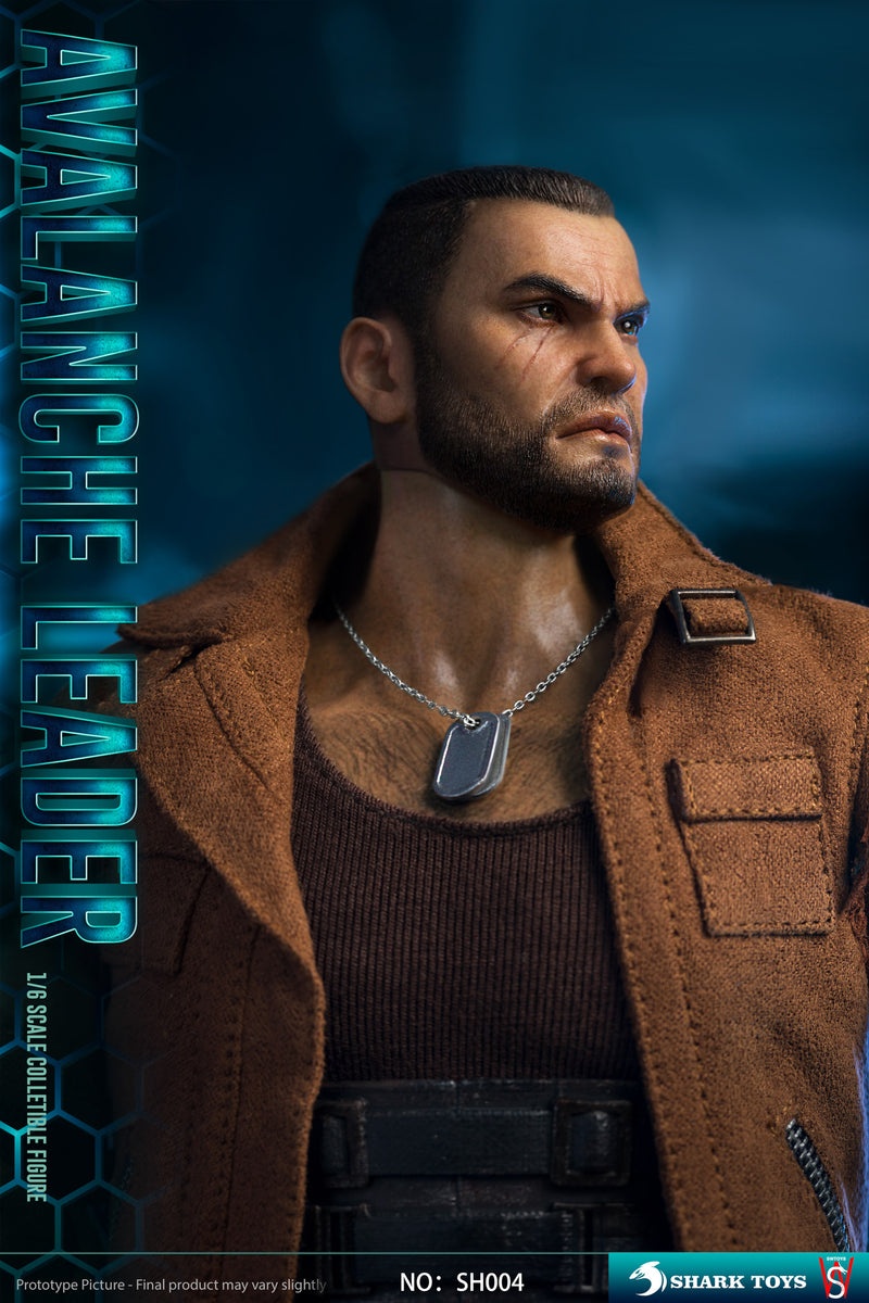 Load image into Gallery viewer, Avalanche Leader - MINT IN BOX
