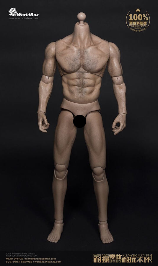 Broad Shoulder Male Base Body - MINT IN BOX