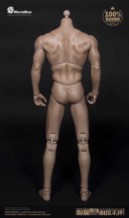 Broad Shoulder Male Base Body - MINT IN BOX