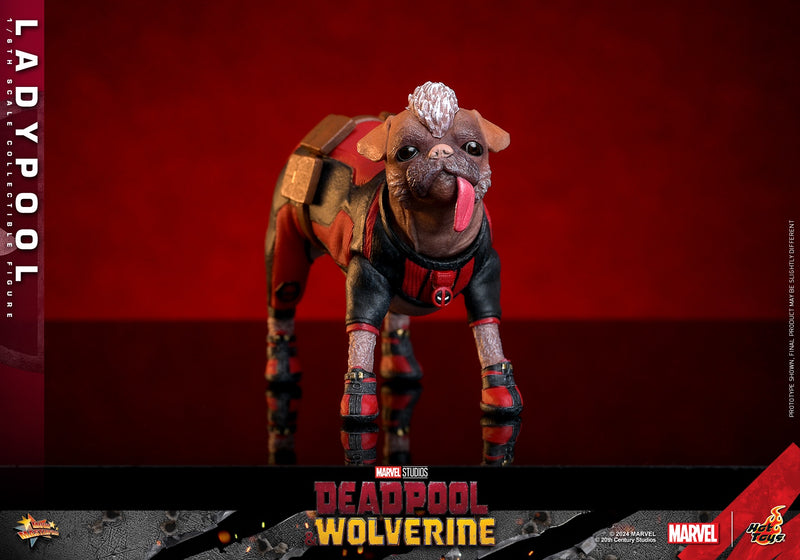 Load image into Gallery viewer, Deadpool &amp; Wolverine - Ladypool - MINT IN BOX
