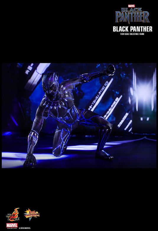 Black Panther - T'Challa/Black Panther - MIOB (Read Desc)