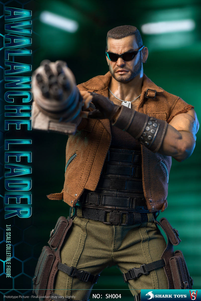 Load image into Gallery viewer, Avalanche Leader - MINT IN BOX

