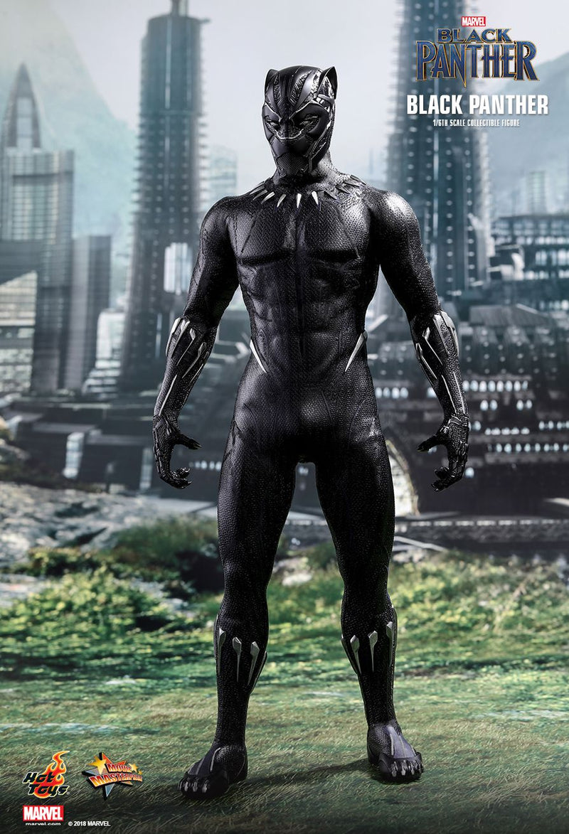 Load image into Gallery viewer, Black Panther - T&#39;Challa/Black Panther - MIOB (Read Desc)
