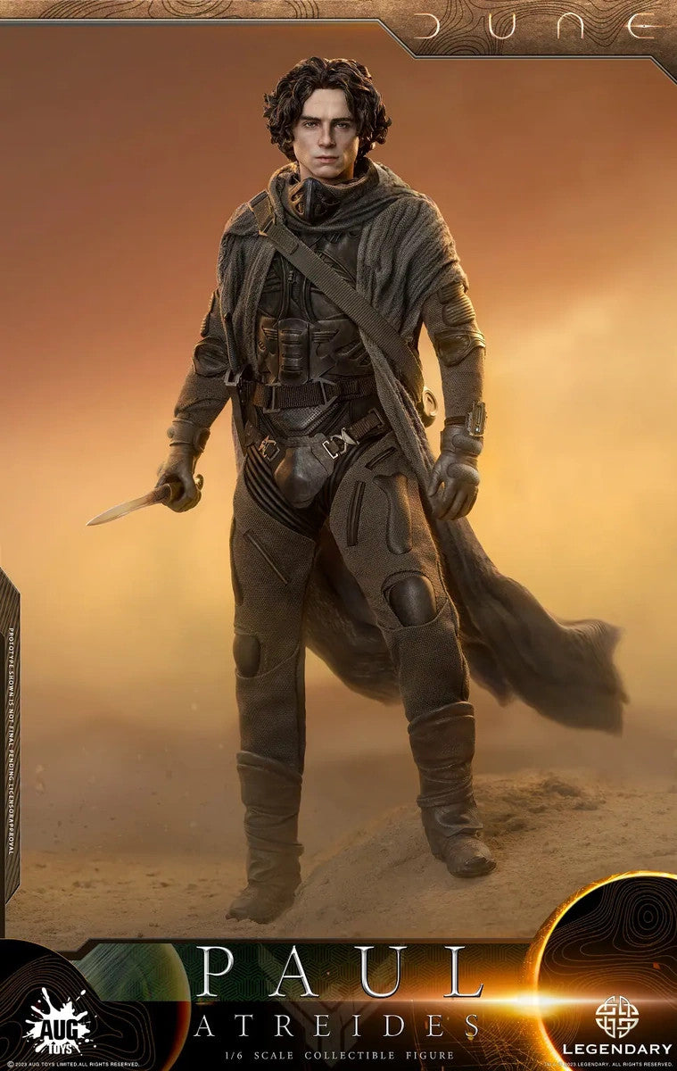 Load image into Gallery viewer, Dune - Paul Atreides - MINT IN BOX
