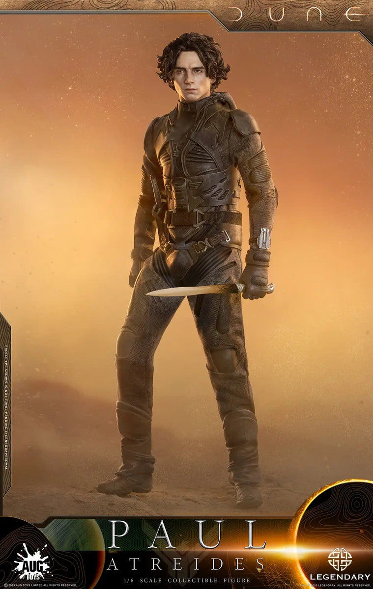 Load image into Gallery viewer, Dune - Paul Atreides - MINT IN BOX
