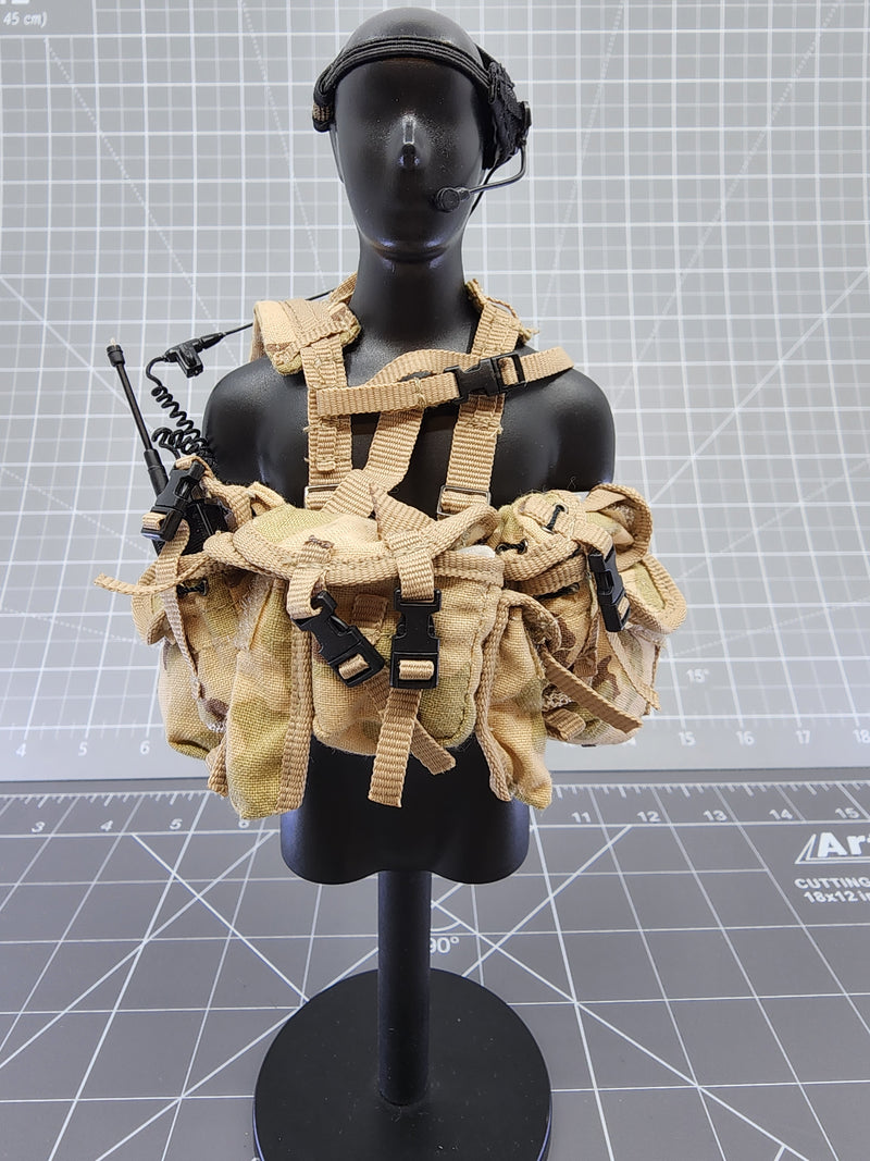 Load image into Gallery viewer, BAM 1/6 3C LMG Medium Gunner W-Warner (ACE)
