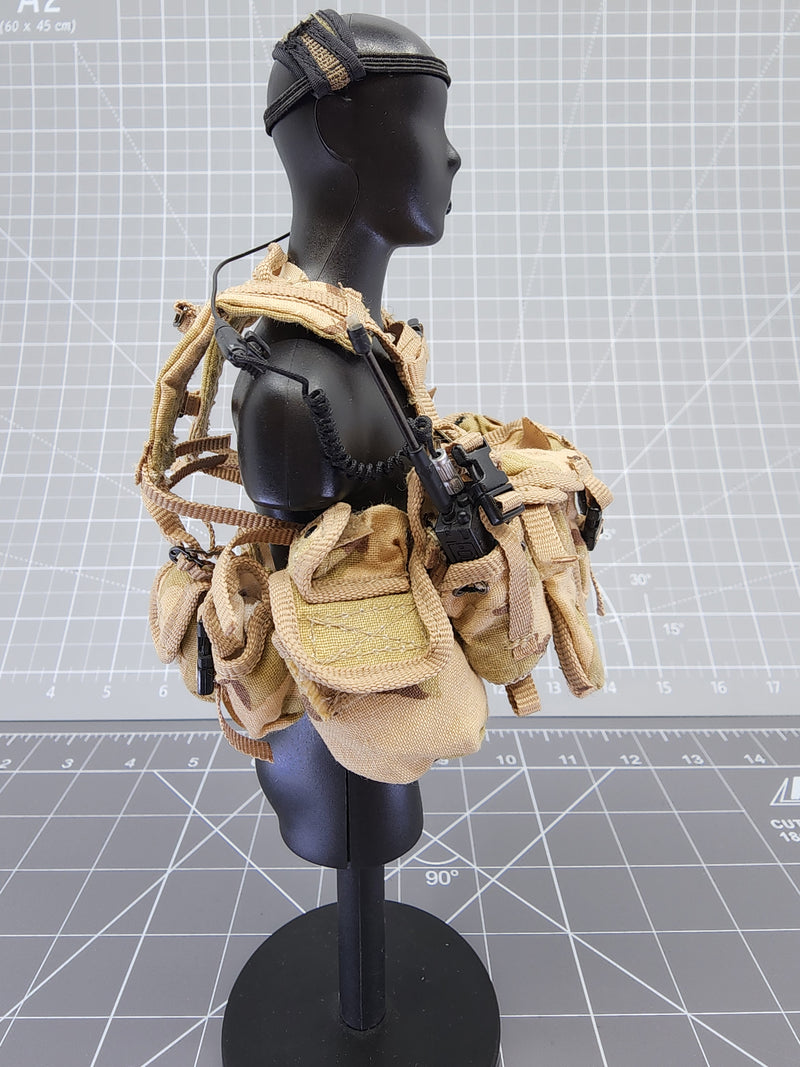 Load image into Gallery viewer, BAM 1/6 3C LMG Medium Gunner W-Warner (ACE)
