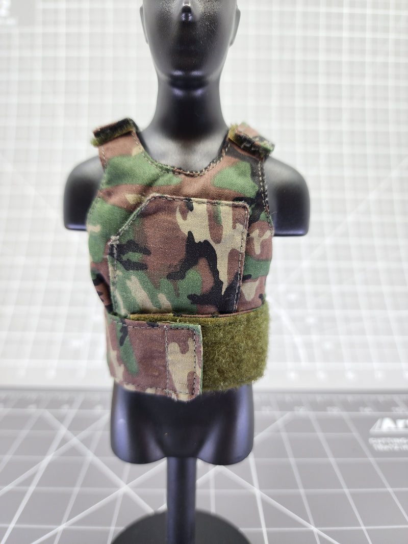 Load image into Gallery viewer, BAM 1/6 Woodland Camo Plate Carrier (Dragon)

