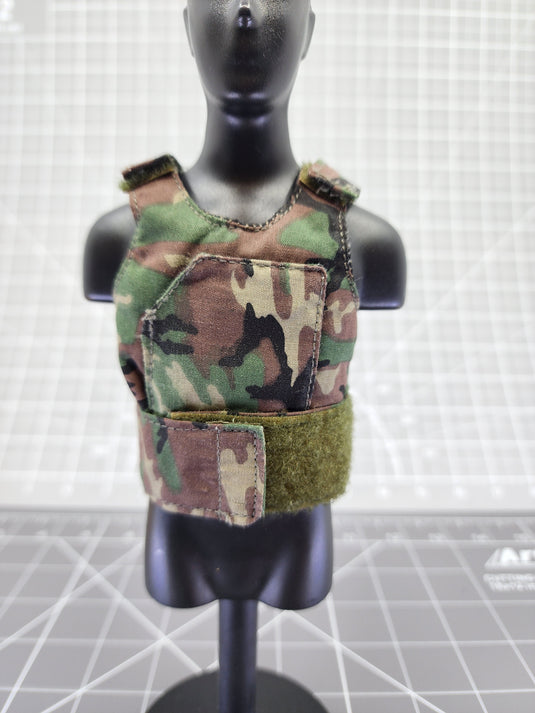 BAM 1/6 Woodland Camo Plate Carrier (Dragon)