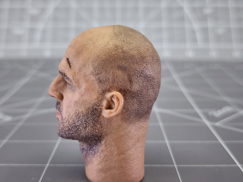 Load image into Gallery viewer, BAM 1/6 High Quality Head Sculpt (Art Figures)
