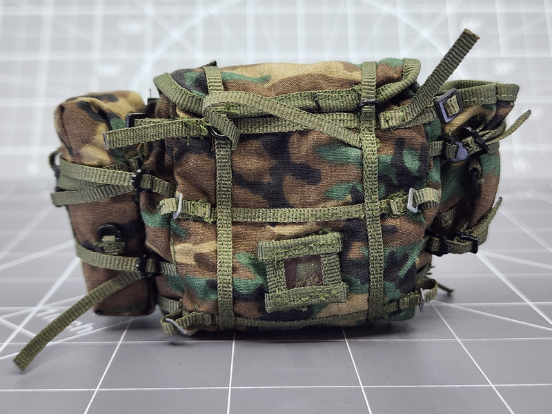 Load image into Gallery viewer, Bam 1/6 Woodland Camo Pack W/o Frame (Dragon)
