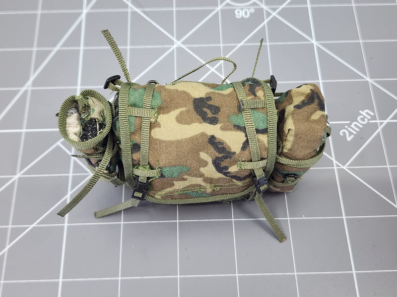 Load image into Gallery viewer, Bam 1/6 Woodland Camo Pack W/o Frame (Dragon)
