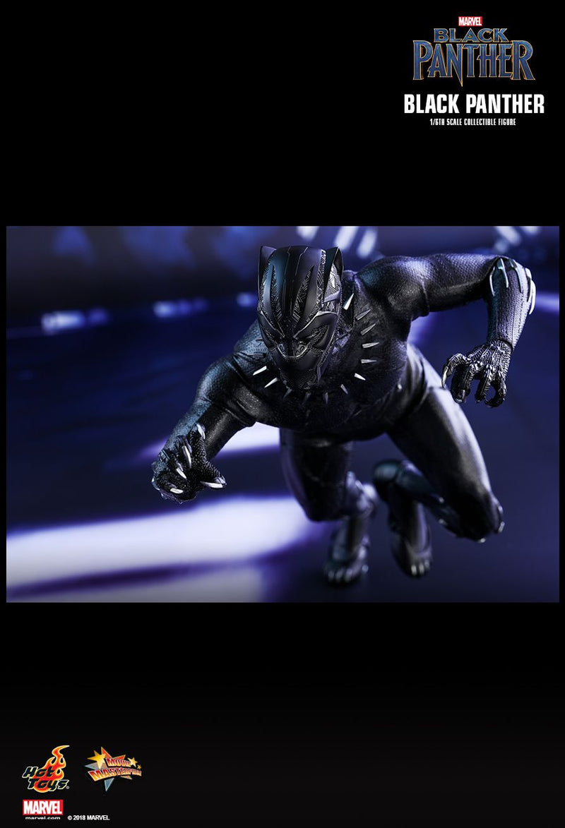 Load image into Gallery viewer, Black Panther - T&#39;Challa/Black Panther - MIOB (Read Desc)
