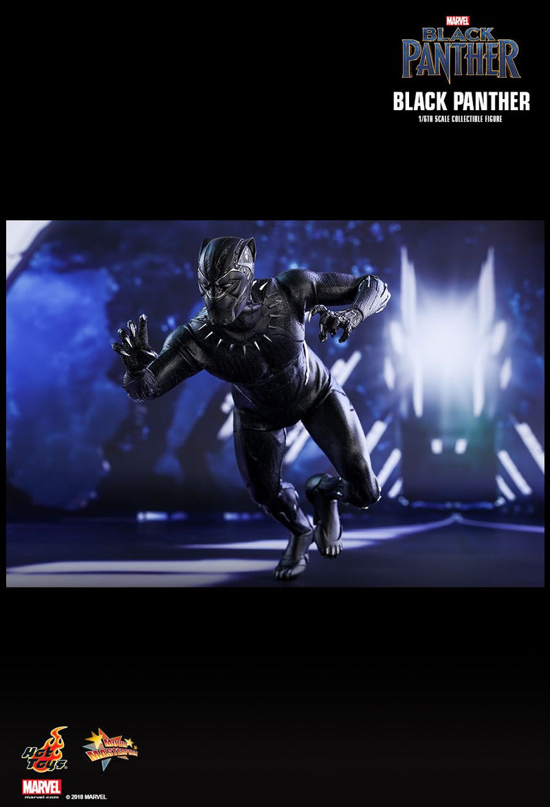 Load image into Gallery viewer, Black Panther - T&#39;Challa/Black Panther - MIOB (Read Desc)
