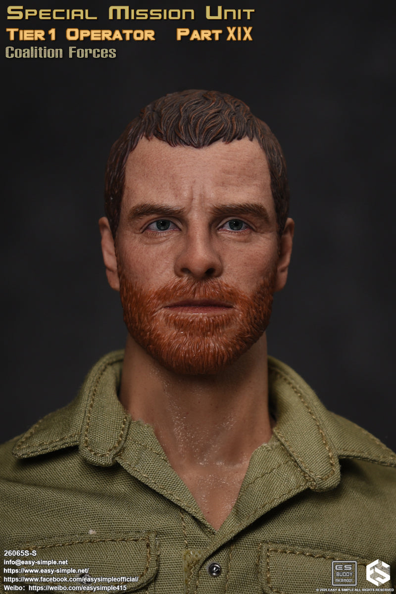 Load image into Gallery viewer, SMU Tier1 Operator Part XIX Coalition Forces Version S - MINT IN BOX
