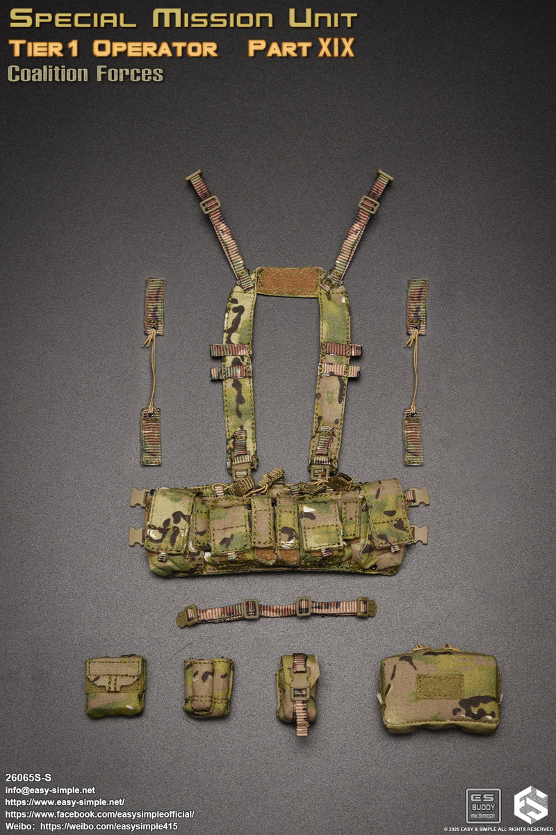 Load image into Gallery viewer, SMU Tier1 Operator Part XIX Coalition Forces Version S - MINT IN BOX

