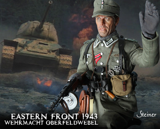 Load image into Gallery viewer, WWII - German Eastern Front 1943 Wehrmacht Steiner - MINT IN BOX
