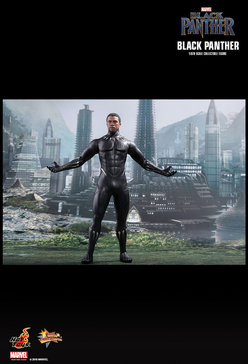 Load image into Gallery viewer, Black Panther - T&#39;Challa/Black Panther - MIOB (Read Desc)
