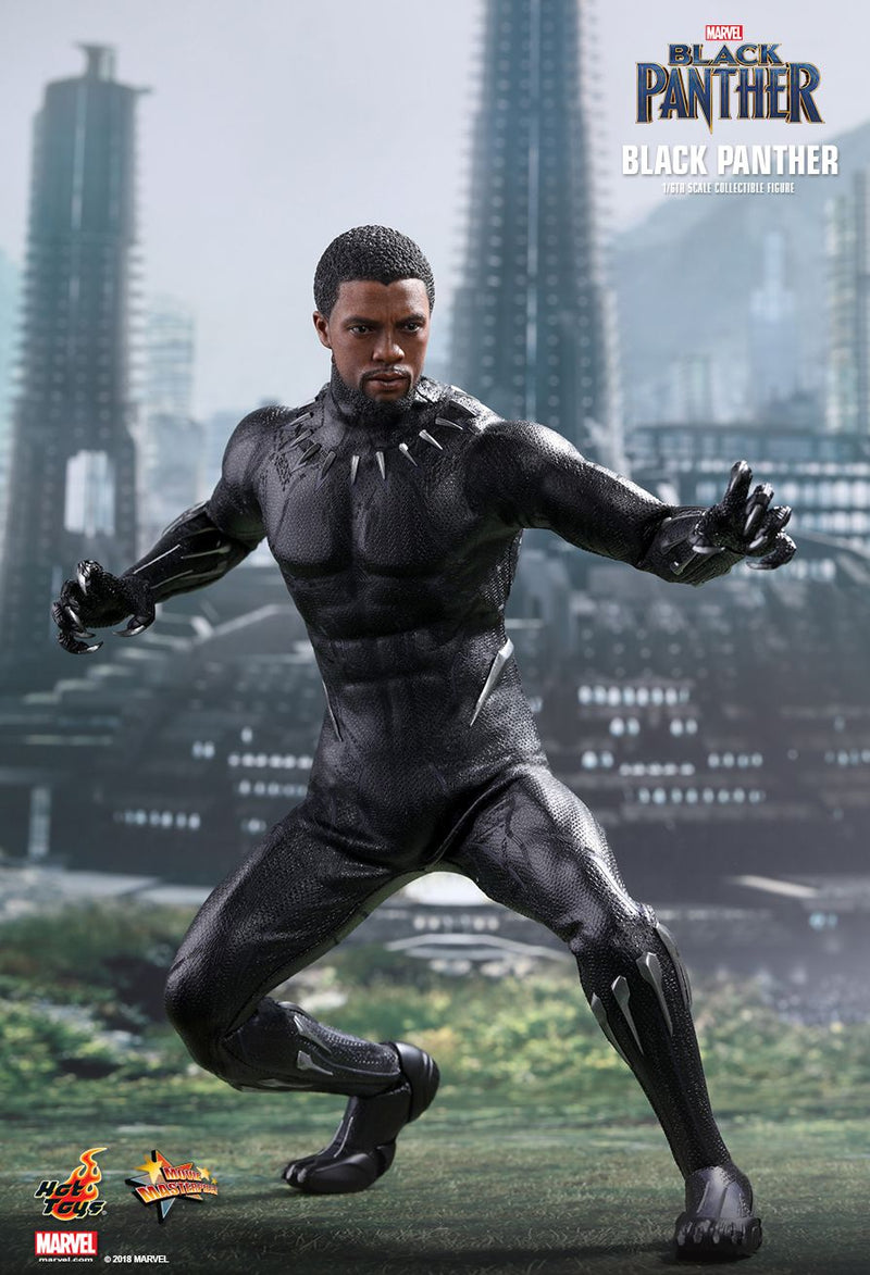 Load image into Gallery viewer, Black Panther - T&#39;Challa/Black Panther - MIOB (Read Desc)
