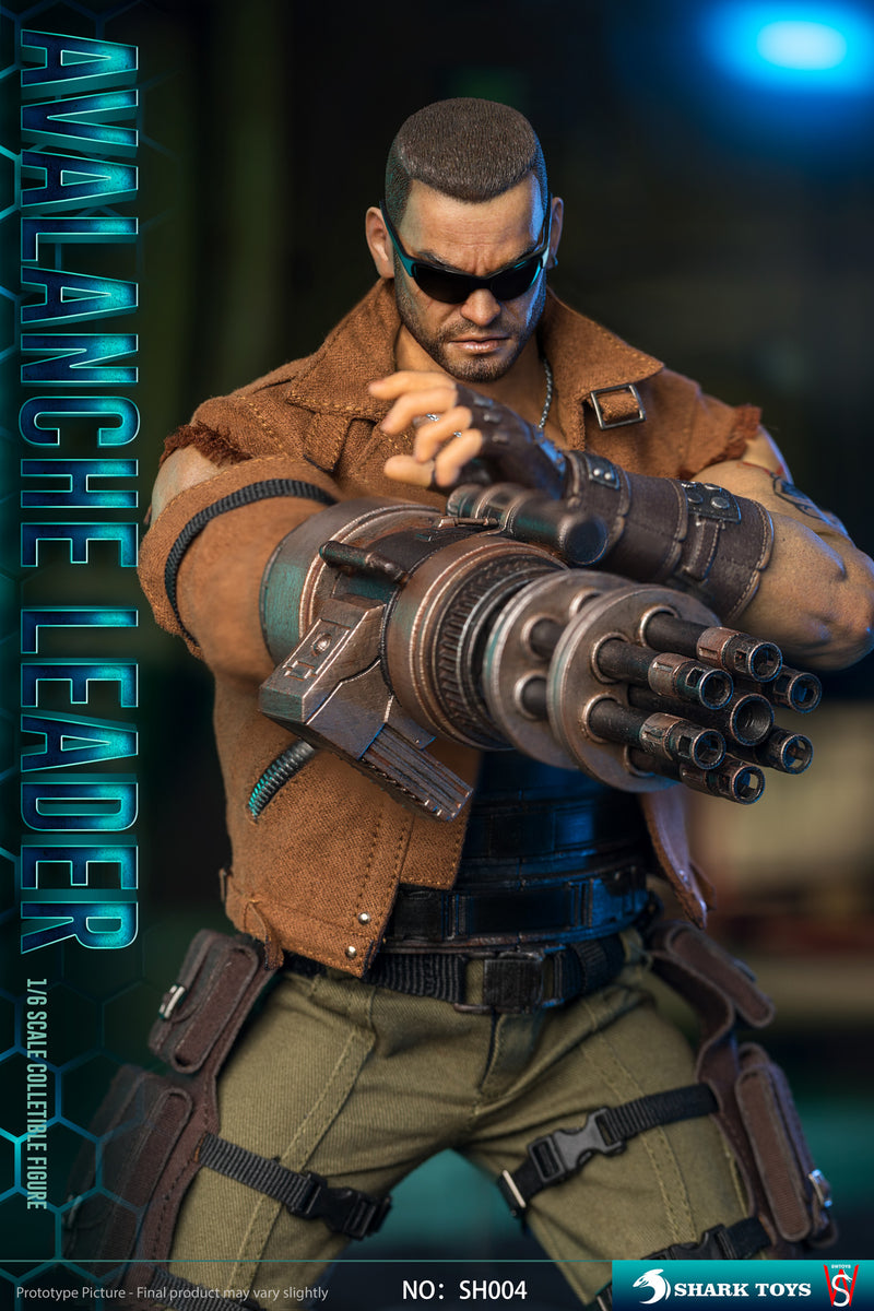 Load image into Gallery viewer, Avalanche Leader - MINT IN BOX
