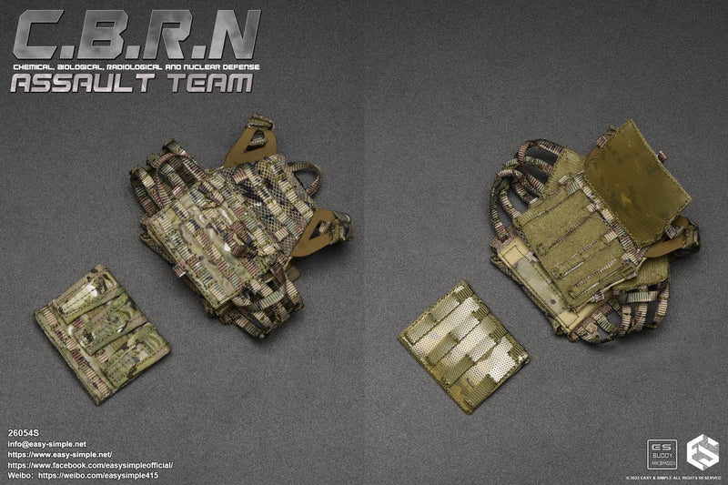 Load image into Gallery viewer, C.B.R.N Assault Team Version S - MINT IN BOX
