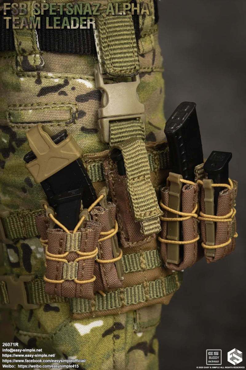 Load image into Gallery viewer, FSB Alpha Team Leader R - Drop Leg MOLLE Platform w/Mag Pouches
