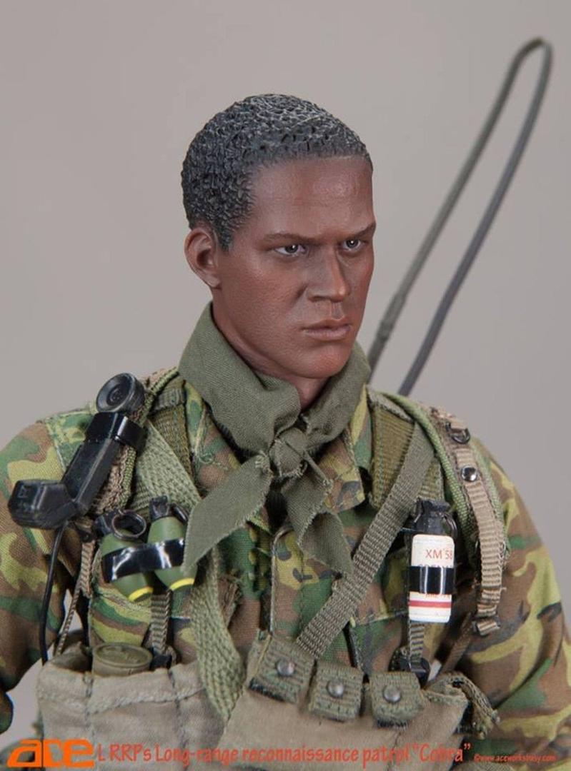 Load image into Gallery viewer, Vietnam - Long-Range Reconnaissance Patrol (LLRPs) Cobra - MINT IN BOX

