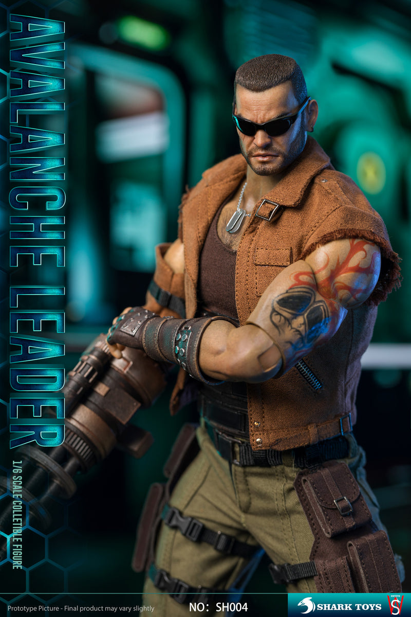 Load image into Gallery viewer, Avalanche Leader - MINT IN BOX
