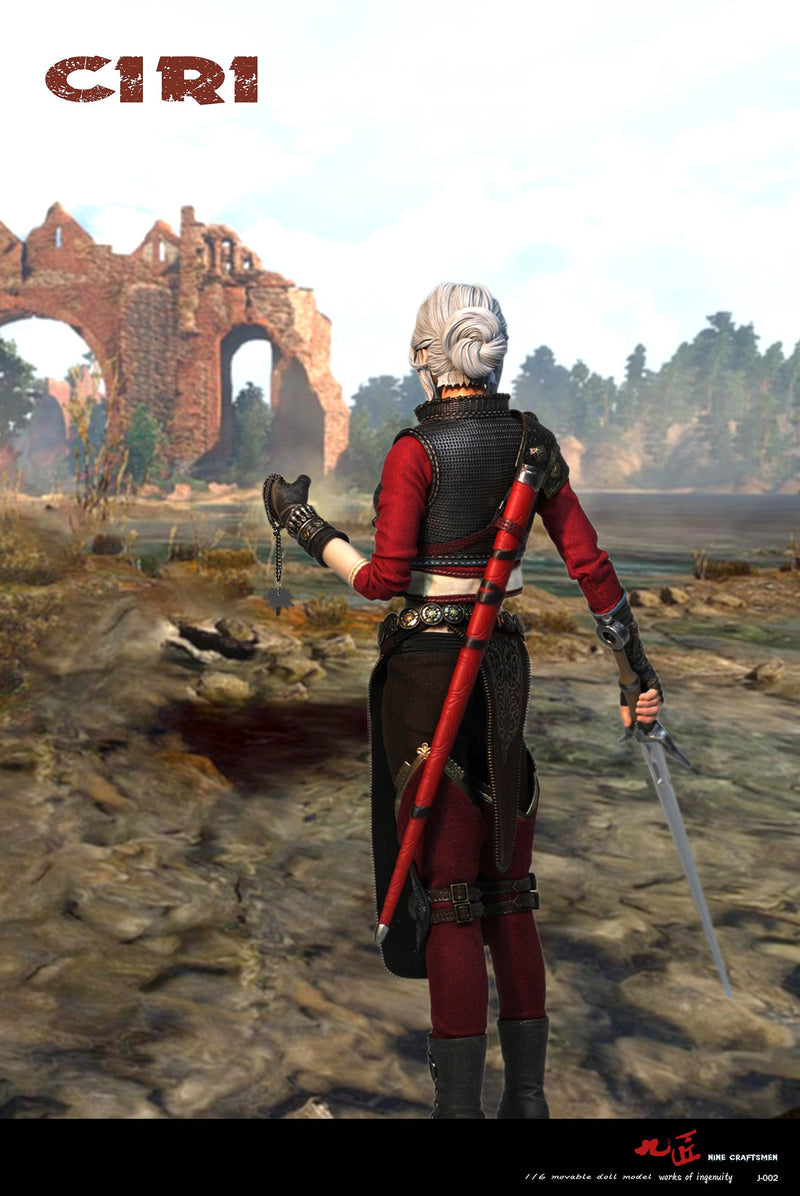 Load image into Gallery viewer, The Witcher - Ciri - Female Knee Pads
