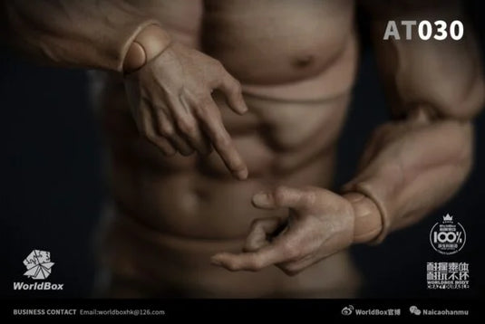Male Base Muscle Body - MINT IN BOX