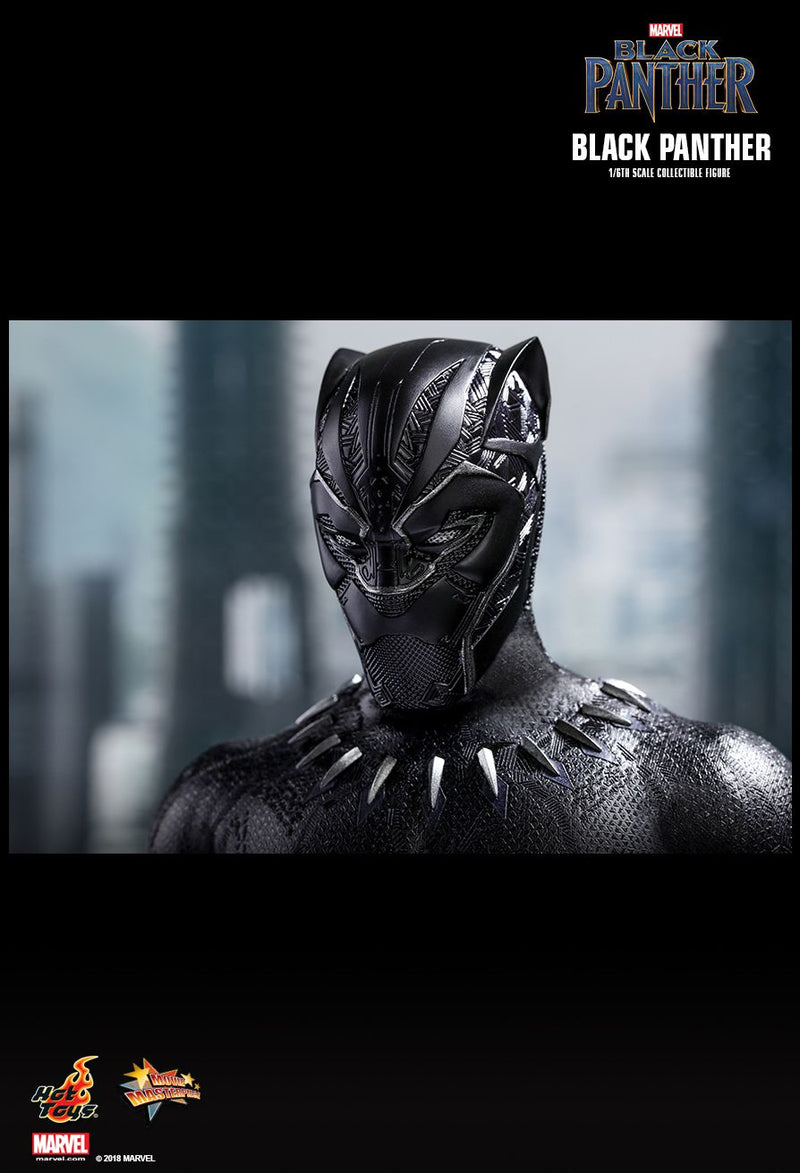 Load image into Gallery viewer, Black Panther - T&#39;Challa/Black Panther - MIOB (Read Desc)
