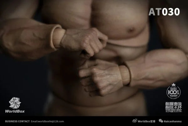 Load image into Gallery viewer, Male Base Muscle Body - MINT IN BOX
