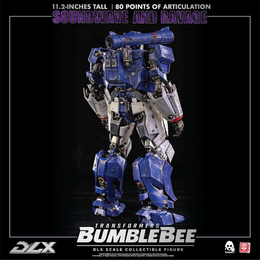 Transformers - DLX Soundwave & Ravage - MINT IN BOX